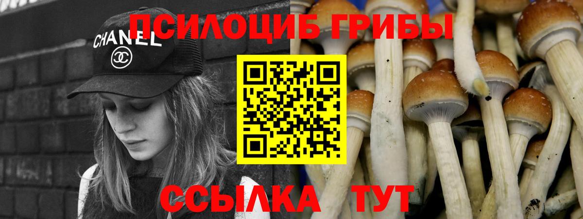 Кузнецк  Галлюциногенные грибы Psilocybe  Псилоцибиновые грибы ЛСД  Вход с VPN 