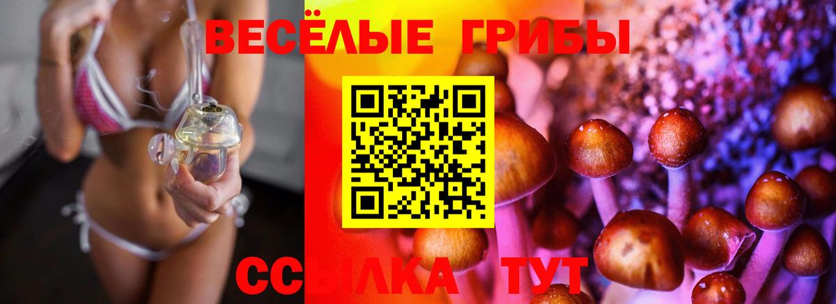 Галлюциногенные грибы мицелий Кузнецк
