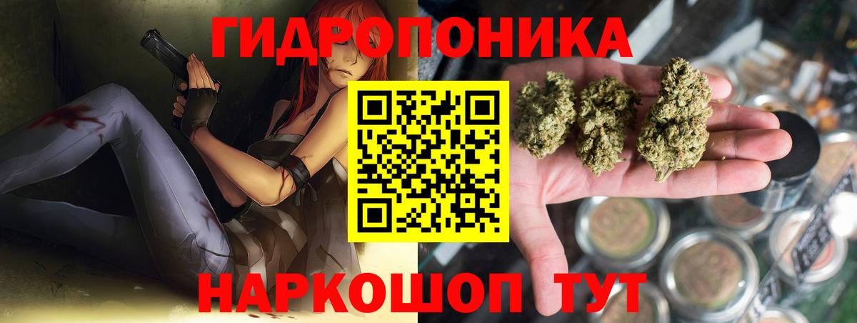 Шишки марихуана планчик Кузнецк